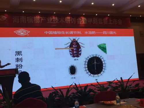 创新驱动，合作共赢 2018槟榔产业技术研讨交流会之软件开发篇