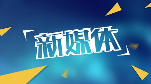 中享科技 软件开发与网络推广运营的双轮驱动
